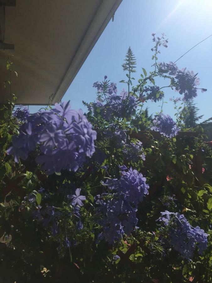 Chiavi Antiche B&B Салерно Екстериор снимка